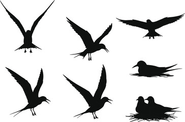 Tern silhouette set, seabird vector illustration, ocean bird poses, flying wildlife clipart, unique coastal nature design
