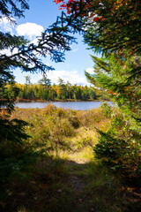 Fototapeta premium Vibrant fall New England Foliage Over Pond