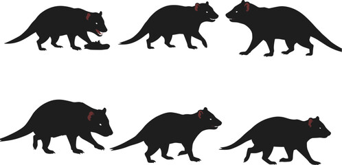 Tasmanian devil silhouette set, Australian wildlife vector, carnivorous mammal illustration, animal poses, unique nature clipart