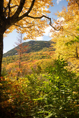 Fototapeta premium Dramatic Fall Foliage in New England Mountains