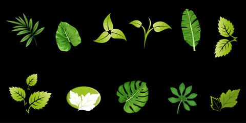 Green Leaves and Foliage Vector Illustration. Elements design for natural, eco, bio, vegan labels. Vector illustration. 