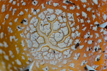 Wandering by the sea in Italy and in the streets