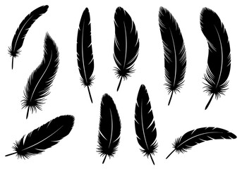 Feather icons. Set of black feather icons isolated. Feather silhouettes.