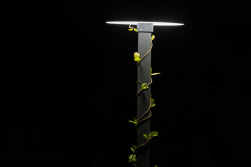 Wandering by the sea in Italy and in the streets