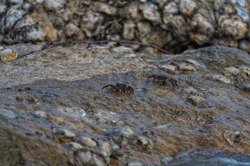 Wandering by the sea in Italy and in the streets