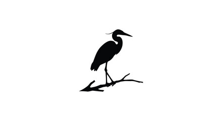 Silhouette of a majestic heron perched on a textured tree branch against a clean white backdrop