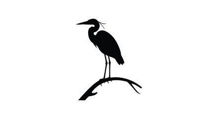 Silhouette of a graceful heron perched on a textured branch against a clean white backdrop