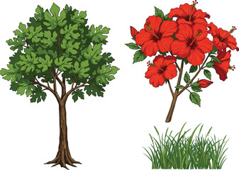 Fototapeta premium Deciduous tree, hibiscus shrub, green grass, botanical diversity, nature illustration, tropical plants, vibrant foliage, garden scene, plant life, outdoor landscape