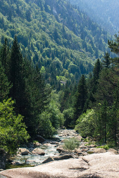 Serene forest river in the Pyrenees, Spain