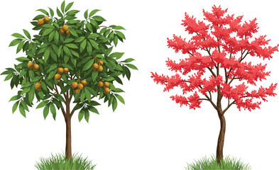 Fruit tree foliage, red leaf tree, seasonal contrast, orange brown fruit, botanical diversity, nature study, landscape vegetation, plant comparison, orchard scene