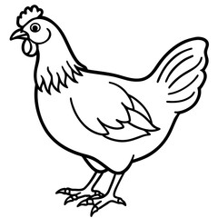 Obraz premium Outline drawing of a hen on a white background Keywords: hen, chicken, bird, poultry, fowl, farm