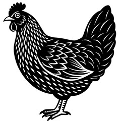 Black hen illustration in profile on white Keywords: hen, chicken, bird, poultry, fowl, farm