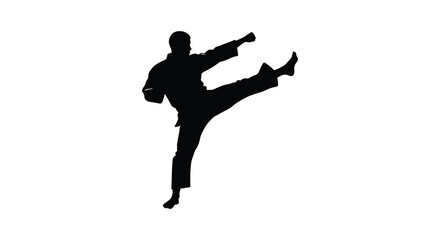 Dynamic silhouette of a martial artist performing a powerful kick in mid-air