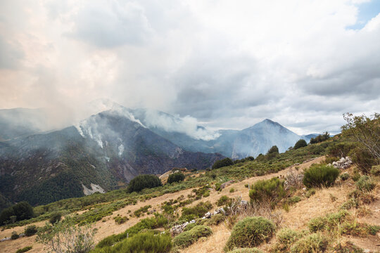 Smoke rising from forest fires in Somiedo Valley, Spain