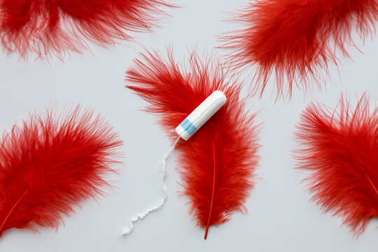 Tampon and red feathers symbolize menstruation