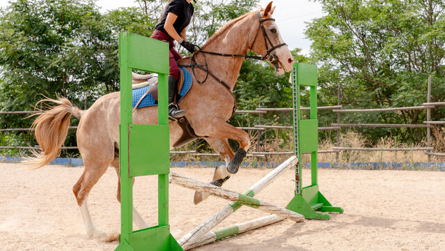 Equestrian jumping practice in outdoor arena