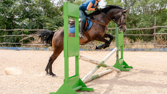 Horse and rider jumping over a green obstacle