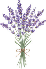 Obraz premium Lavender Bouquet in Watercolor Illustration
