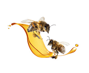 Two flying honey bees surrounded by a honey splash