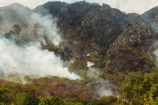 Yellow helicopter fights forest fire in mountainous landscape