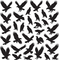 Fototapeta premium Adobe Illustrator Artwork