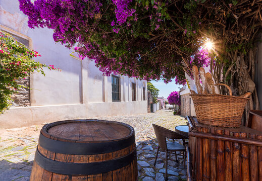 Cobblestone street with flowers in Colonia del Sacramento