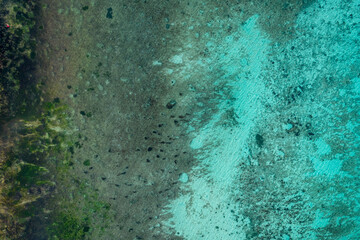 Aerial Drone View of Xcalacoco Beach in Playa del Carmen, Quintana Roo