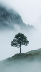 solitary tree in foggy lanscape a solitary tree stans majestically in a misty andscape, its silhouette brely visible against the fg enveloping the scene