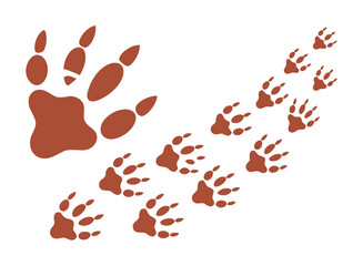 Brown Animal Paw Prints Trail on White Background