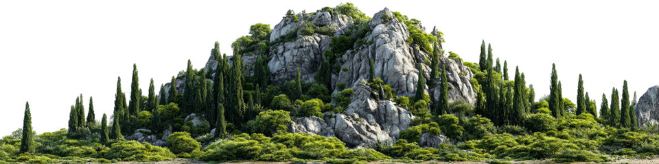 PNG of Lush green hillside with rocky formations and tall trees, creating a serene and tranquil natural landscape.