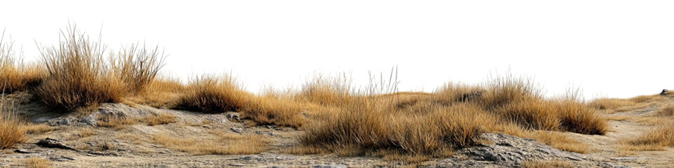 PNG of A serene landscape featuring golden grasses and rocky terrain under a clear sky, evoking tranquility and natural beauty.