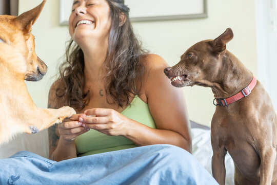 Woman enjoying time with playful dogs on bed