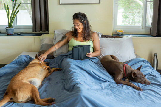 Relaxing morning in bed with pets and tablet