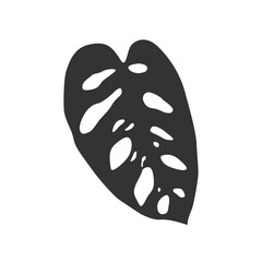 Isolated black silhouette of leaf of monstera adansonii on white background