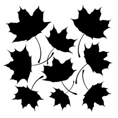 Isolated black silhouette of maple leaves on white background. Set of maple leaves.