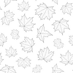 Abstract botanical pattern. Seamless print composed of black line of leaves of maple on white background.