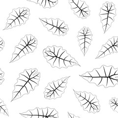 Abstract botanical pattern. Seamless print composed of black line of leaves of alocasia polly on white background. Botanical background.