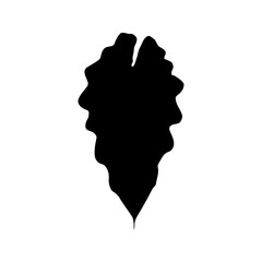 Isolated black silhouette of leaf of alocasia polly on white background.
