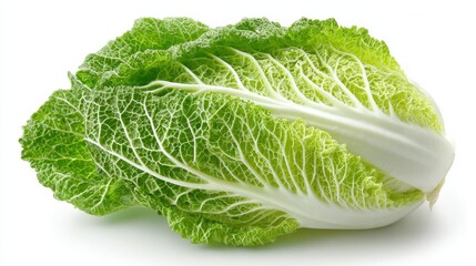 Fresh Napa Cabbage Close-Up: Lush Green Vegetable Isolated on White Background