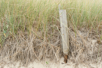 Cape Cod Beach dune protection fence in W. Dennis Beach Massachusetts