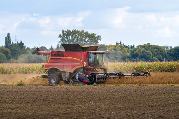 Mähdrescher mit Kettenlaufwerk auf einem Feld beim dreschen