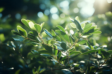 Obraz premium Nature inspired background with blurred green leaves and sunlight bokeh.