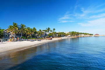 Tropical waterfront with palm trees, beach villas, and outdoor water sports gear