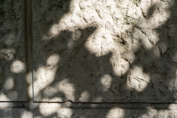Beautiful background with shadow from foliage against a stone wall