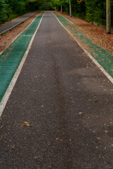 Obraz premium Green bicycle lane through autumn forest