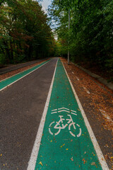 Green bicycle lane through autumn forest