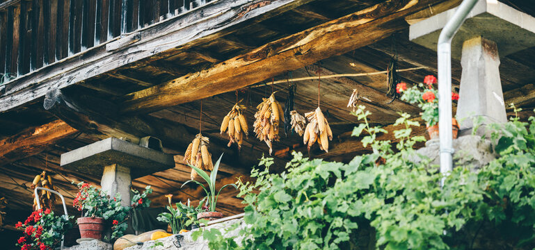 Traditional rural horreo view with dried corn cobs hanging under the wooden beams, vibrant red flowers in clay pots, and lush green plants creating a rustic countryside charm