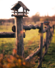 Rustic Birdhouse on Wooden Fence at Golden Hour