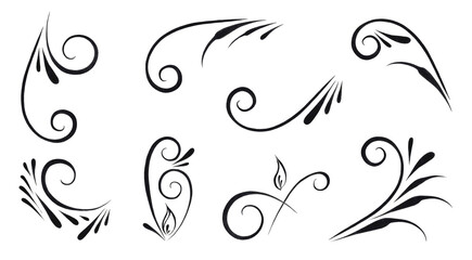 A set of watercolor black swirls, ornamental curls on a white background. Calligraphic design elements, patterns, embellishments, frames, graphic design. Decor for menus, diplomas, wedding invitations