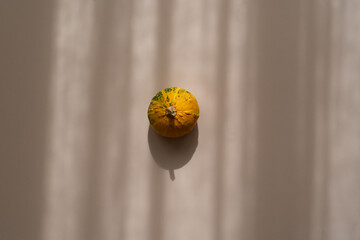Small decorative pumpkin on beige background, soft shadows, minimal top view aesthetic	